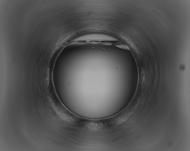 X0000091220494200708231634