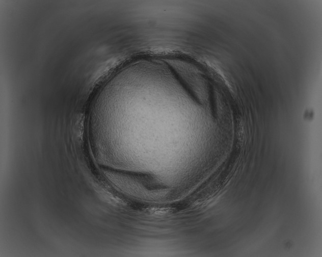 X0000091220495200708231634