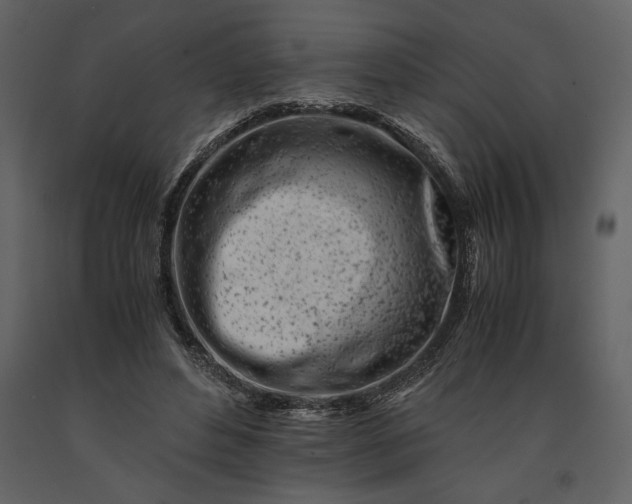 X0000091220496200708231634