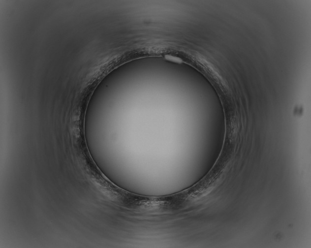 X0000091220497200708231634