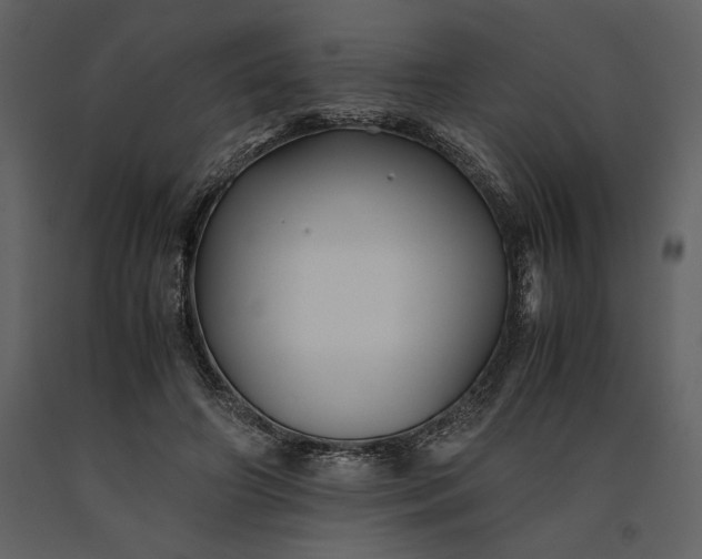 X0000091220498200708231634