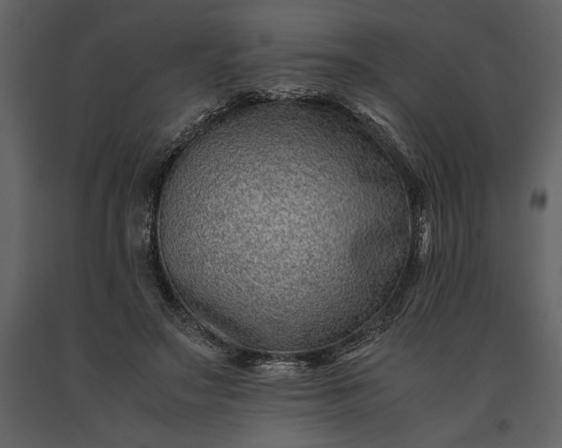 X0000091220499200708231634