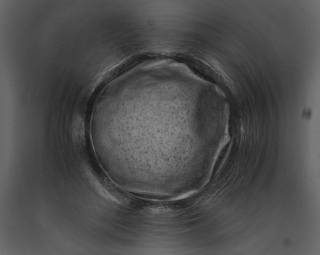 X0000091220500200708231634