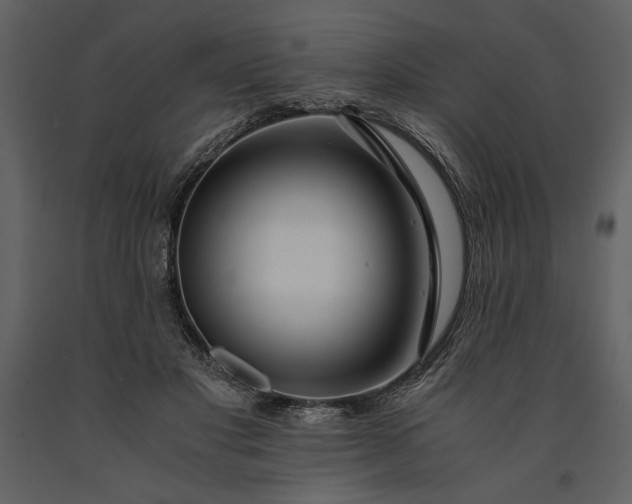 X0000091220501200708231634