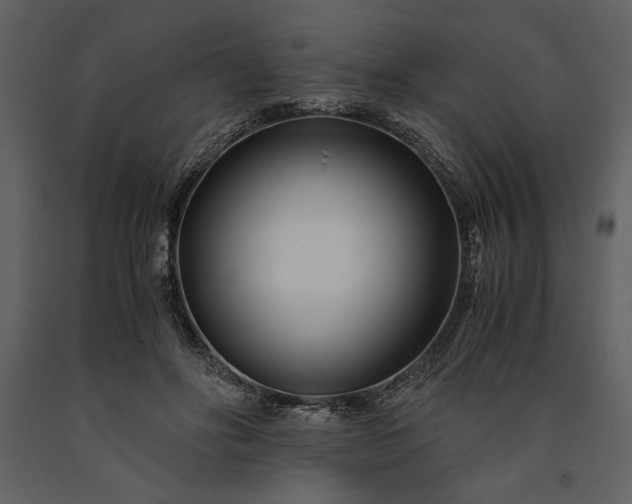 X0000091220502200708231634