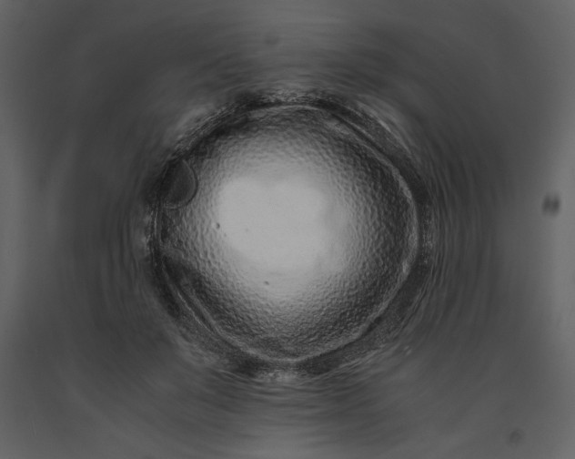 X0000091220503200708231634