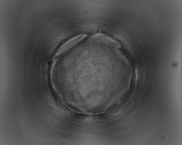 X0000091220504200708231634