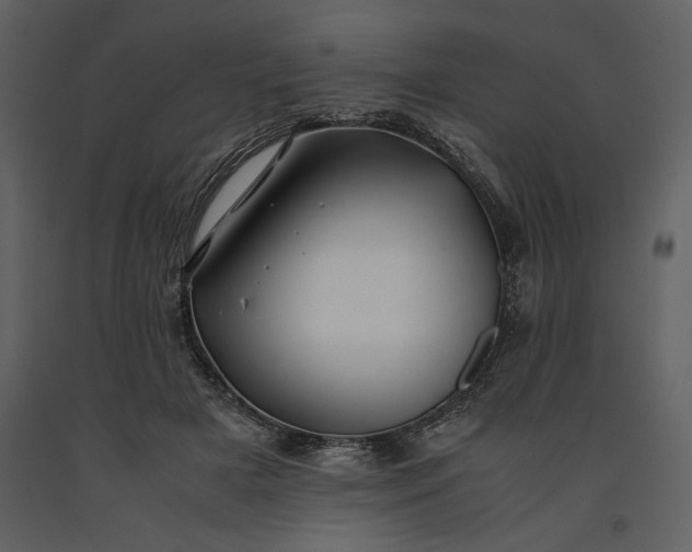 X0000091220505200708231634