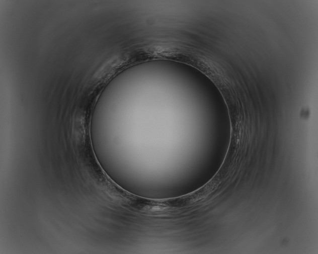 X0000091220506200708231634