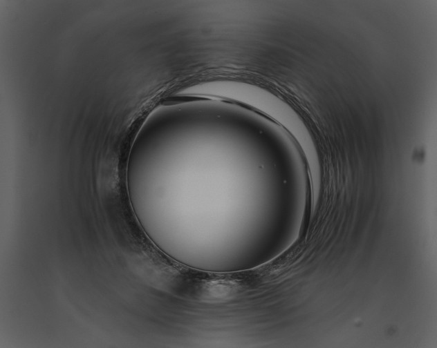 X0000091220508200708231634