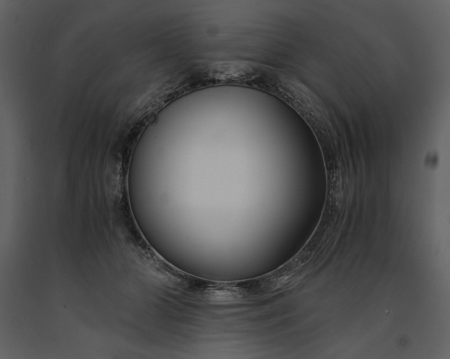 X0000091220510200708231634