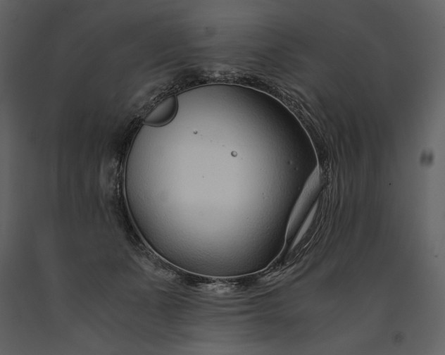 X0000091220511200708231634