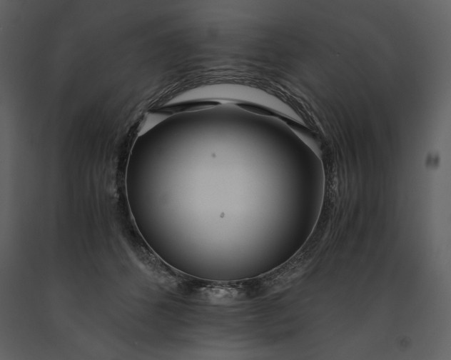 X0000091220512200708231634