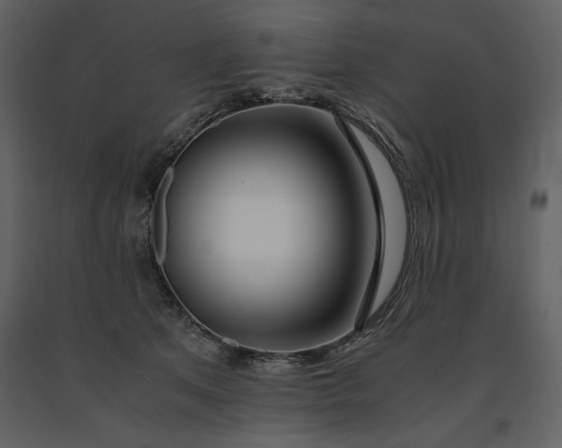 X0000091220513200708231634