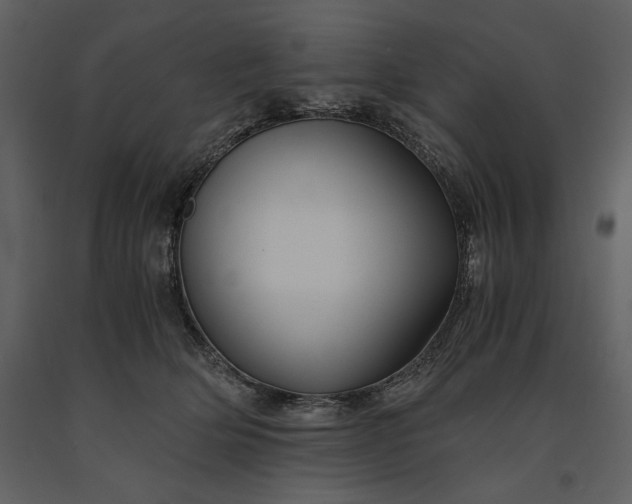 X0000091220514200708231634