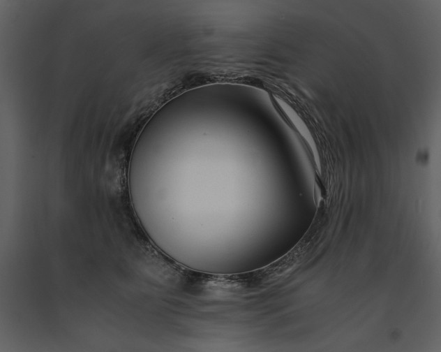 X0000091220515200708231634