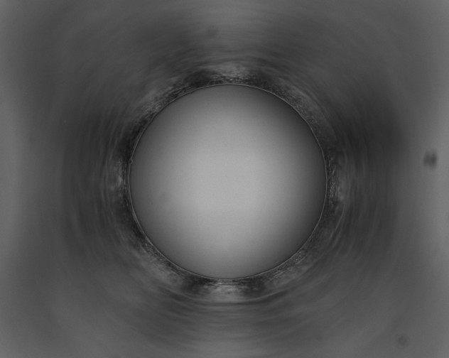 X0000091220518200708231634