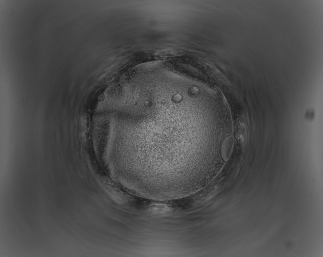 X0000091220519200708231634