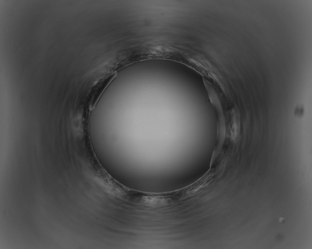 X0000091220520200708231634