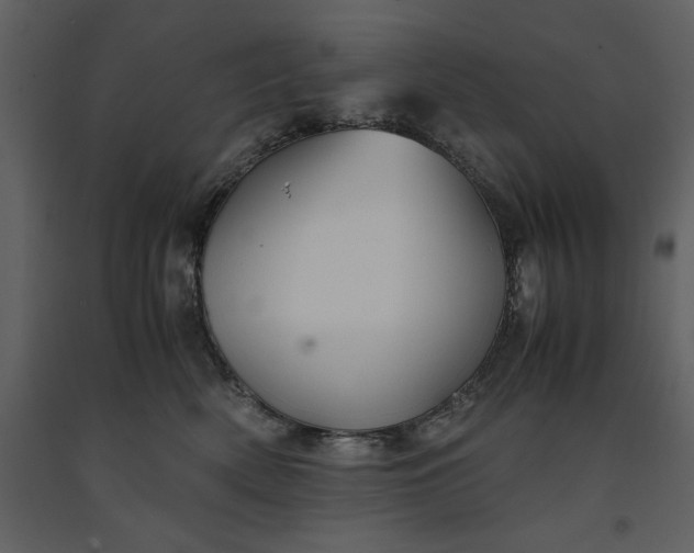 X0000091220522200708231634