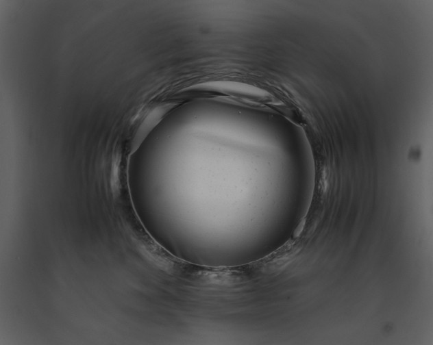 X0000091220524200708231634