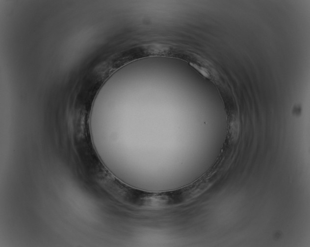 X0000091220525200708231634