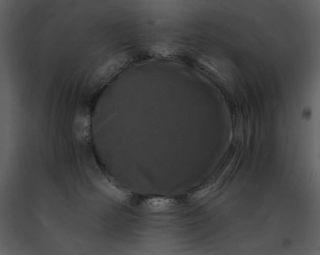 X0000091220526200708231634