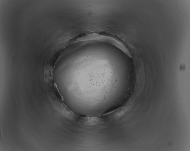 X0000091220528200708231634