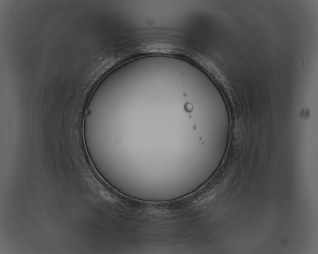 X0000091220529200708231633