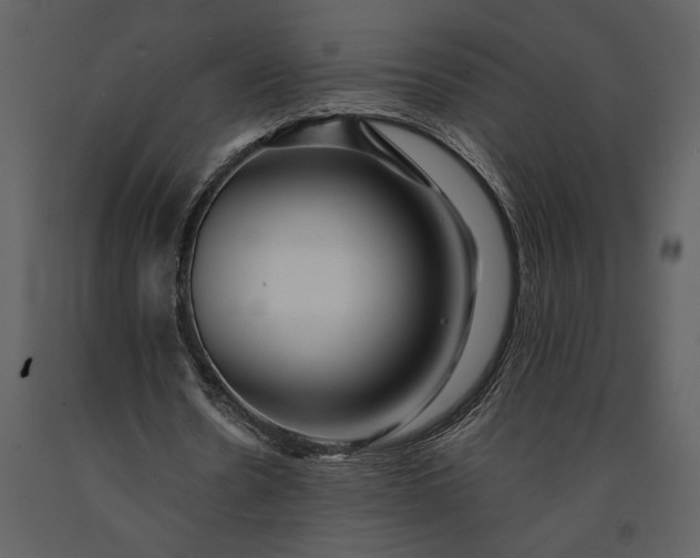 X0000091220530200708231633