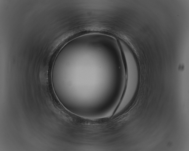 X0000091220531200708231633