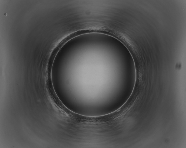 X0000091220532200708231633