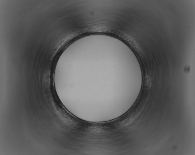 X0000091220534200708231633