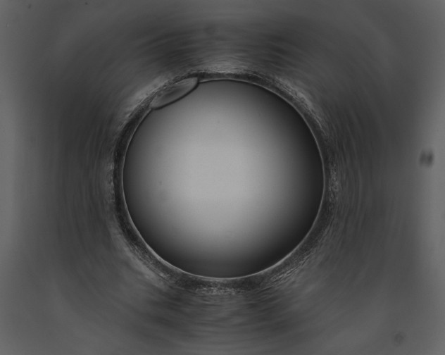 X0000091220535200708231633