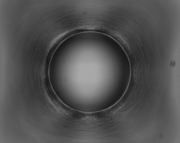 X0000091220536200708231633