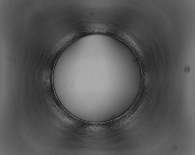 X0000091220537200708231633