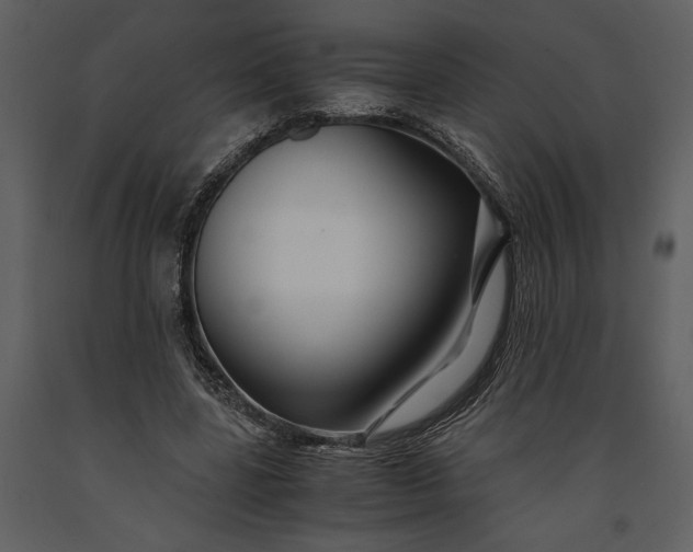 X0000091220539200708231633