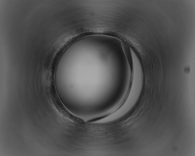 X0000091220540200708231633