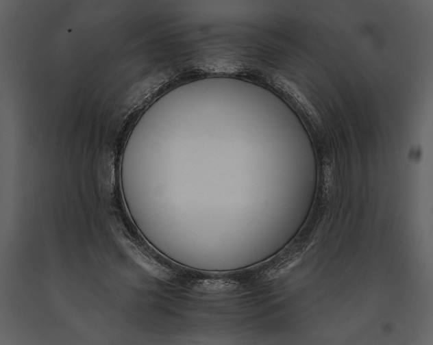 X0000091220541200708231633