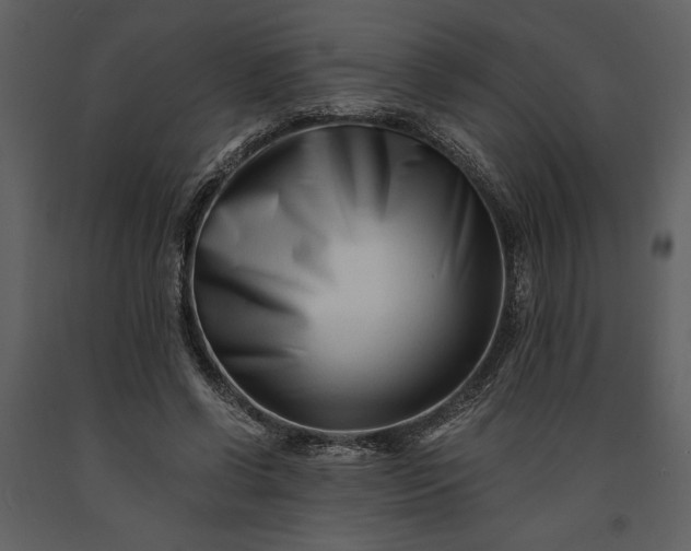 X0000091220542200708231633