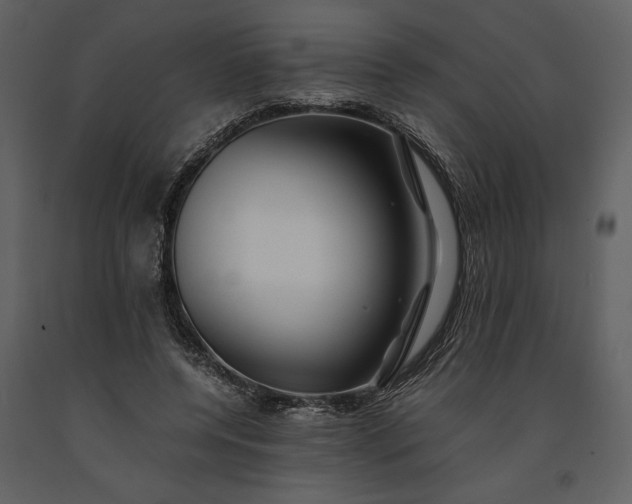 X0000091220544200708231633