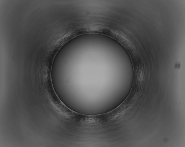 X0000091220546200708231633