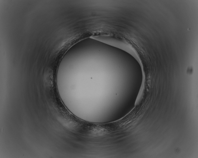 X0000091220547200708231633