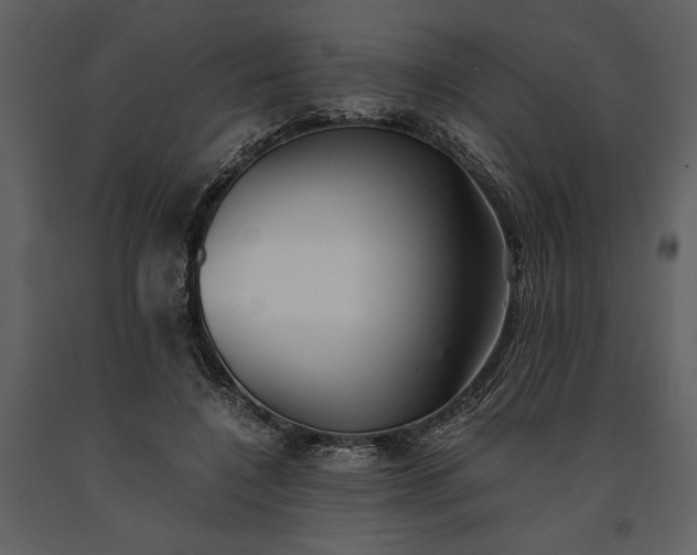 X0000091220548200708231633