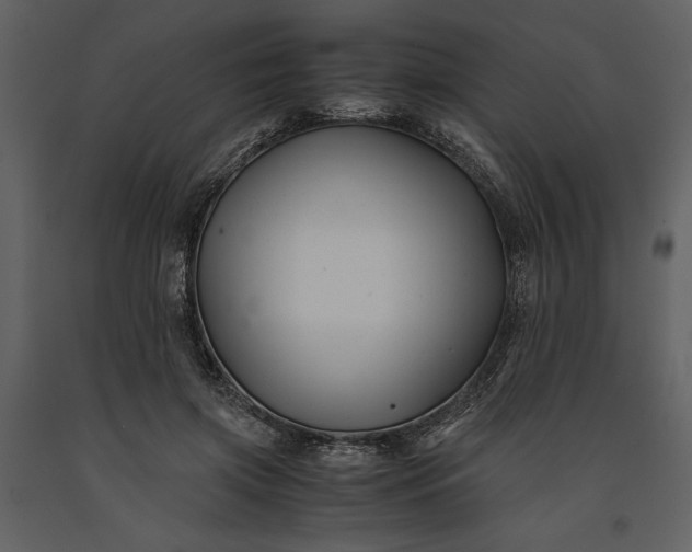 X0000091220549200708231633