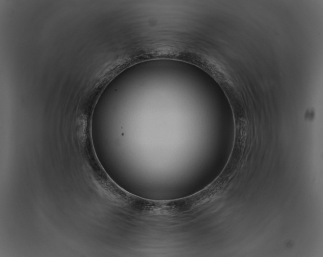 X0000091220550200708231633