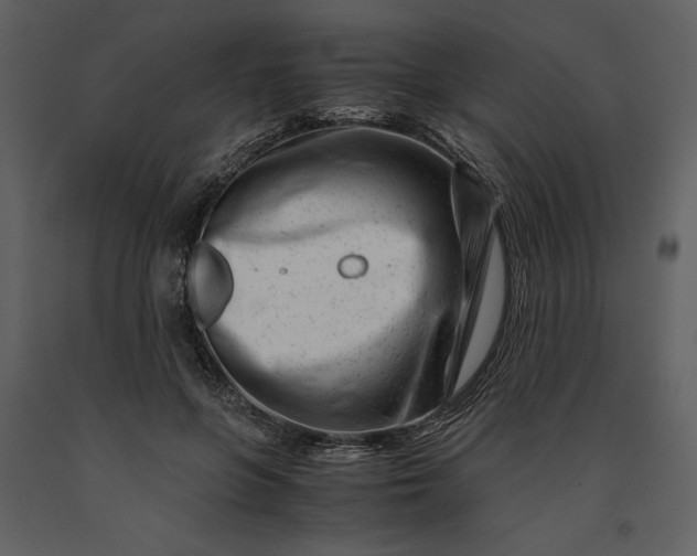 X0000091220551200708231633