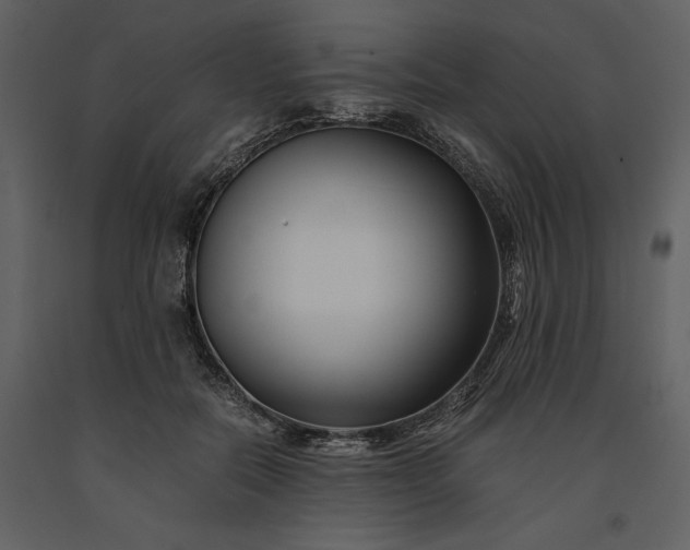 X0000091220554200708231633