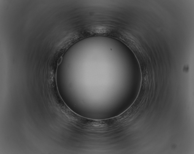 X0000091220555200708231633