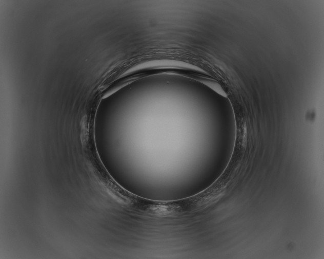 X0000091220558200708231633